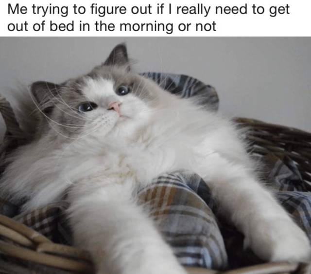 funny picdump 50 pics 23.html - 50 HD Photos | Premium Gallery 2018