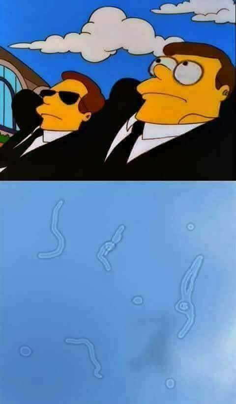 Funny Picdump
