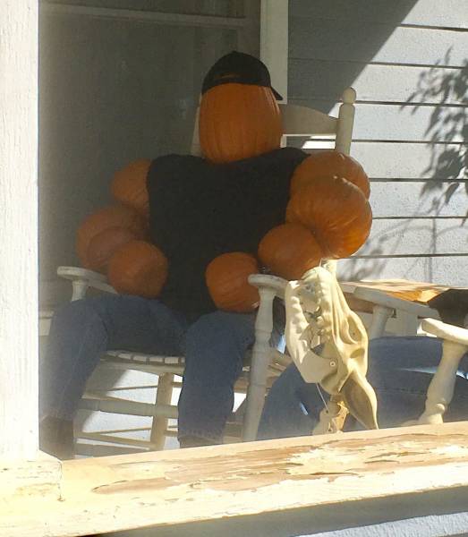 Morning Picdump