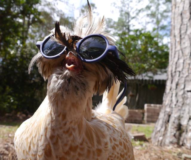 Morning Picdump