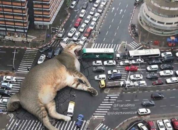 Morning Picdump