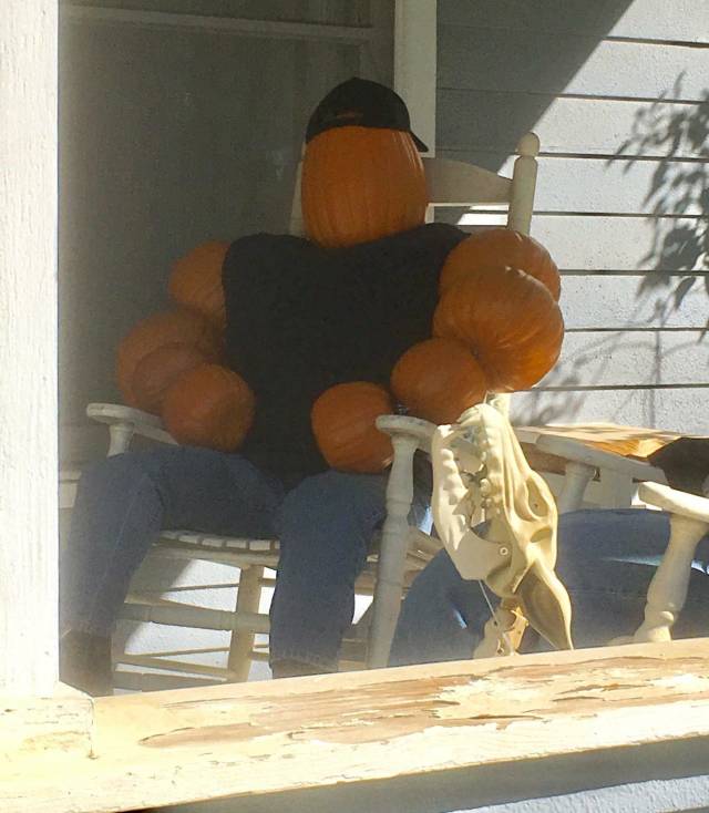 Morning Picdump