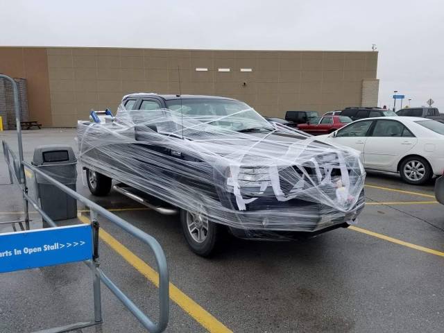 daily picdump weekend edition 67 pics 10.html - 67 HD Photos | Premium Gallery 2018