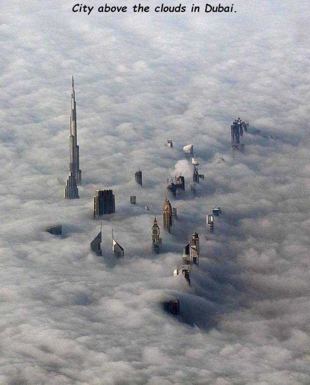 Daily Picdump [WEEKEND EDITION]