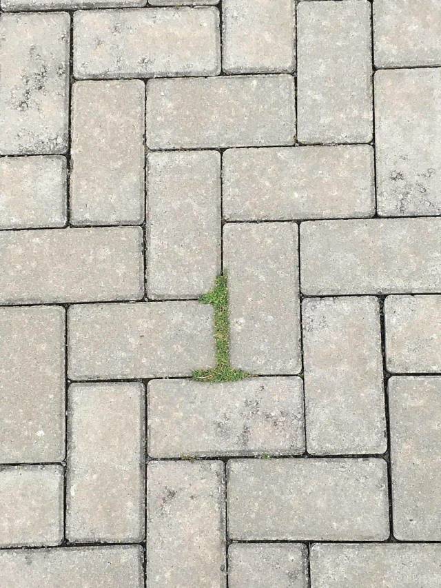 daily picdump weekend edition 67 pics 10.html - 67 HD Photos | Premium Gallery 2018