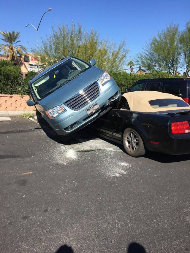 daily picdump weekend edition 67 pics 10.html - 67 HD Photos | Premium Gallery 2018