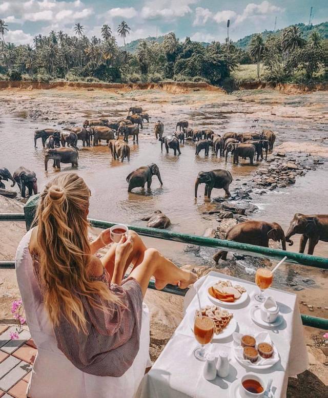 daily picdump weekend edition 67 pics 10.html - 67 HD Photos | Premium Gallery 2018