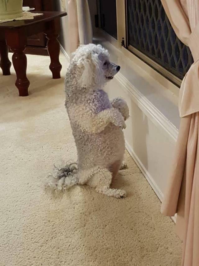 daily picdump weekend edition 67 pics 10.html - 67 HD Photos | Premium Gallery 2018