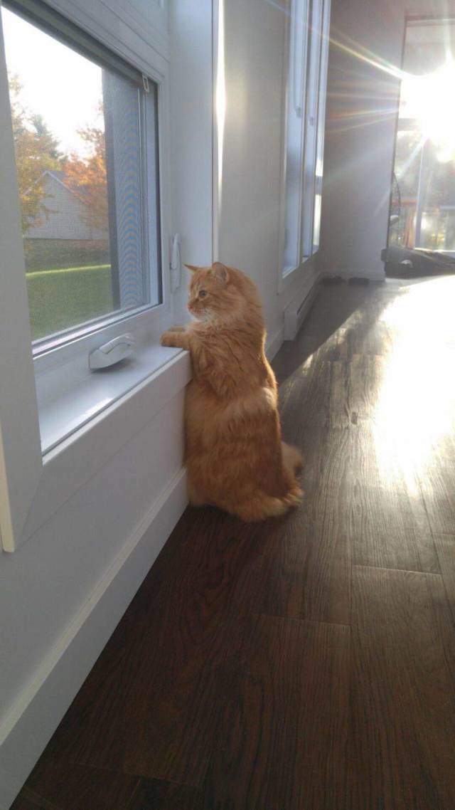 daily picdump weekend edition 67 pics 10.html - 67 HD Photos | Premium Gallery 2018