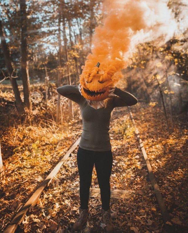 daily picdump weekend edition 67 pics 10.html - 67 HD Photos | Premium Gallery 2018