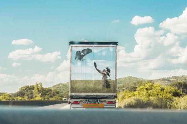 daily picdump 101 pics 31.html - 101 HD Photos | Premium Gallery 2018