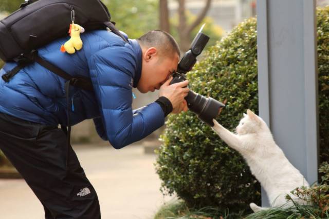 daily picdump 101 pics 31.html - 101 HD Photos | Premium Gallery 2018