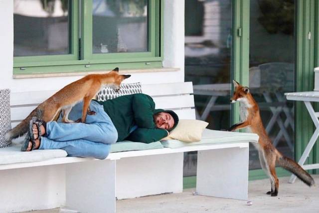 daily picdump 101 pics 31.html - 101 HD Photos | Premium Gallery 2018