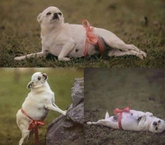 daily picdump 101 pics 31.html - 101 HD Photos | Premium Gallery 2018