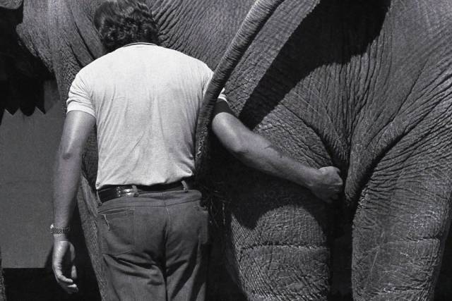 daily picdump 101 pics 31.html - 101 HD Photos | Premium Gallery 2018