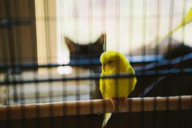 daily picdump 101 pics 31.html - 101 HD Photos | Premium Gallery 2018