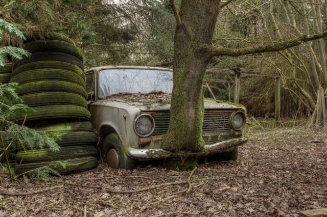 daily picdump 101 pics 31.html - 101 HD Photos | Premium Gallery 2018