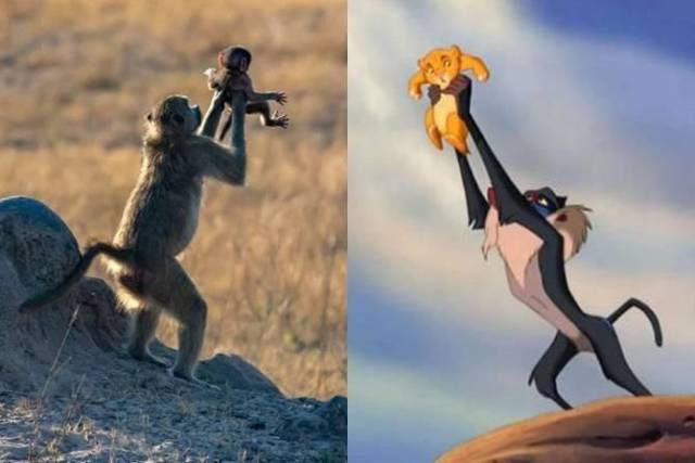 daily picdump 101 pics 31.html - 101 HD Photos | Premium Gallery 2018