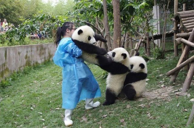 daily picdump 101 pics 31.html - 101 HD Photos | Premium Gallery 2018