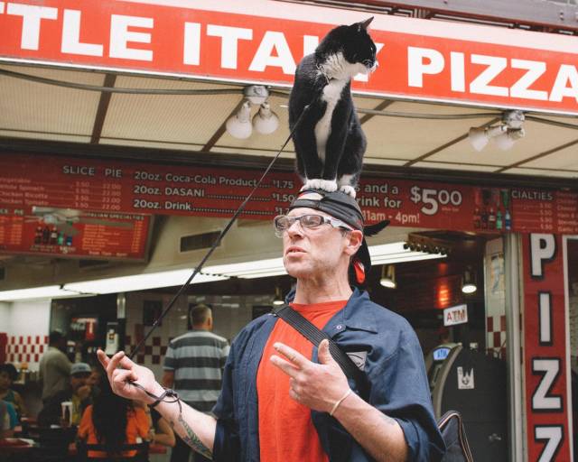 daily picdump 101 pics 31.html - 101 HD Photos | Premium Gallery 2018