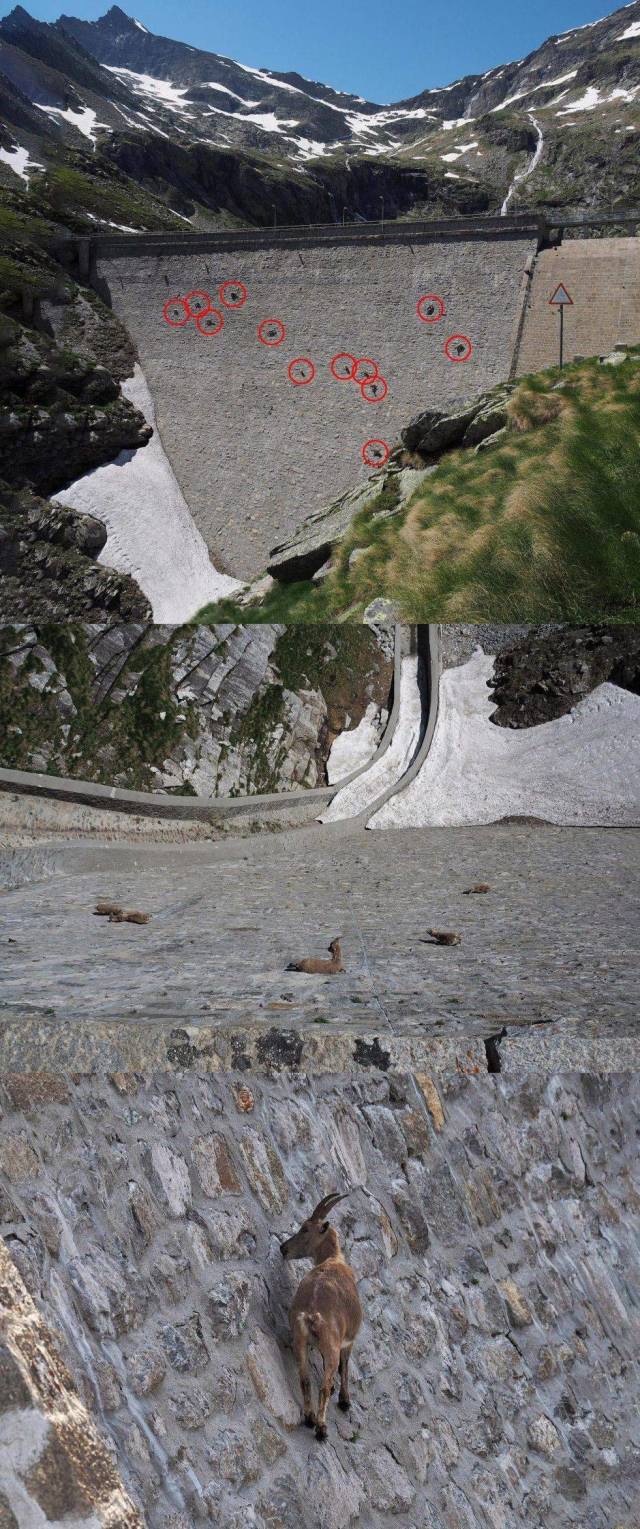 daily picdump 101 pics 31.html - 101 HD Photos | Premium Gallery 2018