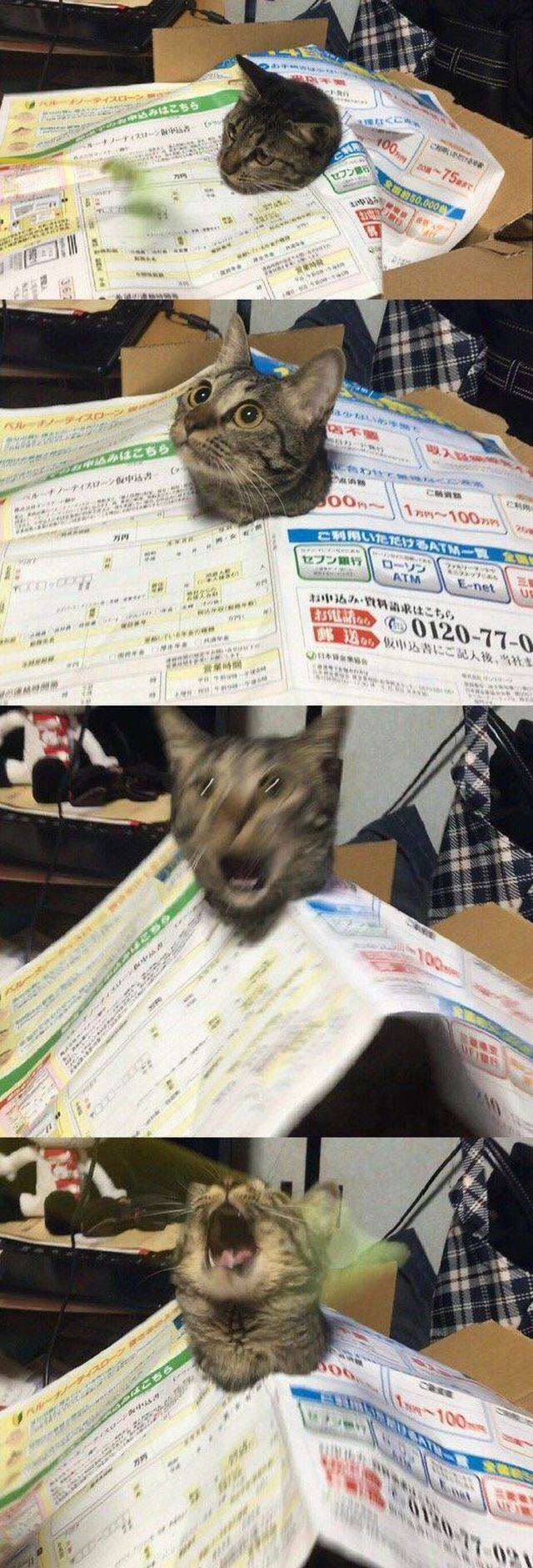 daily picdump 101 pics 31.html - 101 HD Photos | Premium Gallery 2018