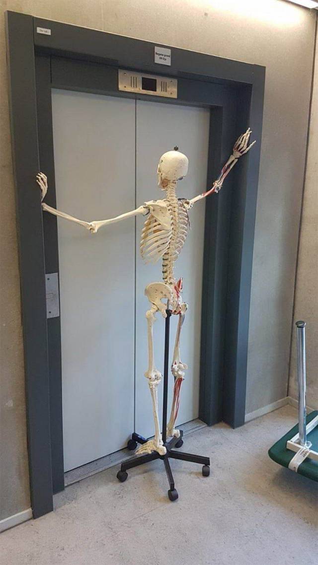 daily picdump 101 pics 31.html - 101 HD Photos | Premium Gallery 2018