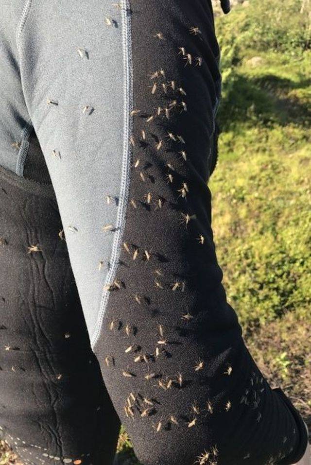 daily picdump 101 pics 31.html - 101 HD Photos | Premium Gallery 2018