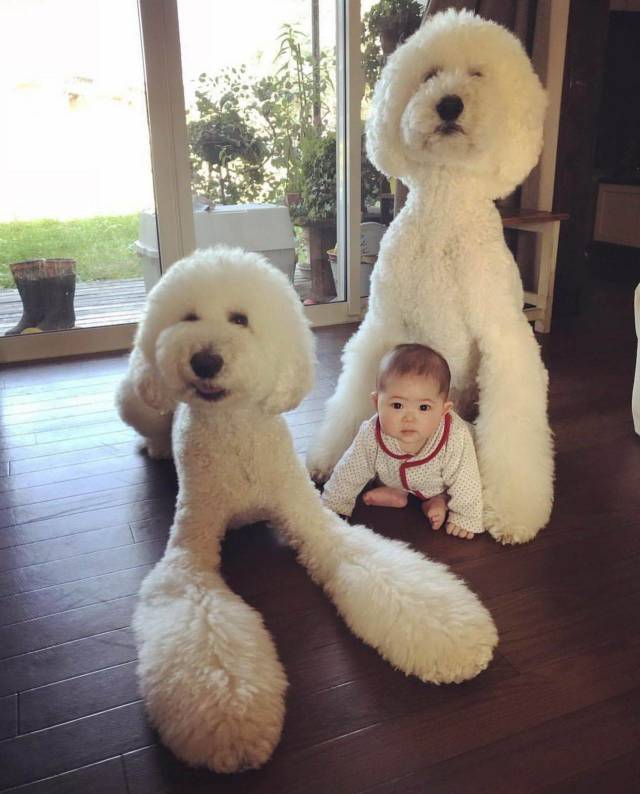 daily picdump 101 pics 31.html - 101 HD Photos | Premium Gallery 2018