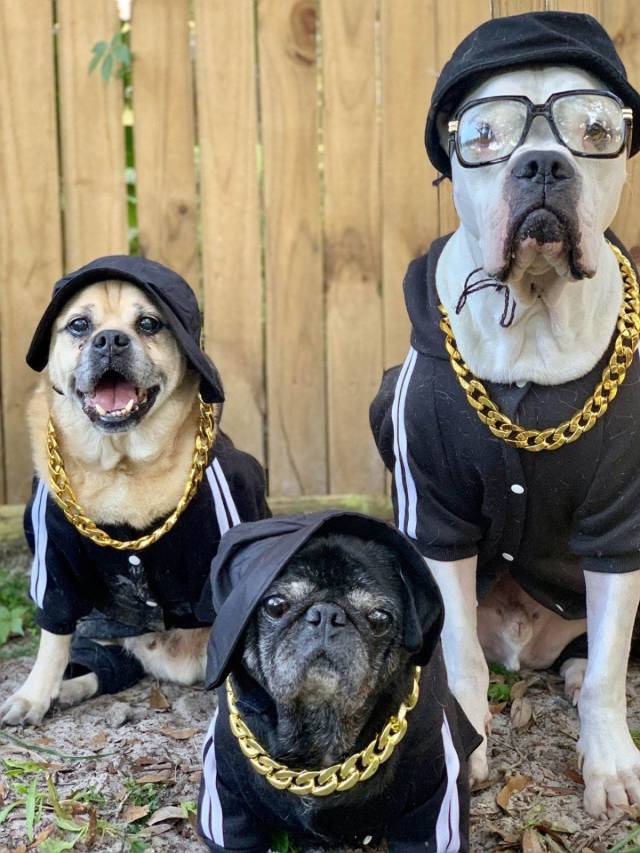 daily picdump 101 pics 31.html - 101 HD Photos | Premium Gallery 2018