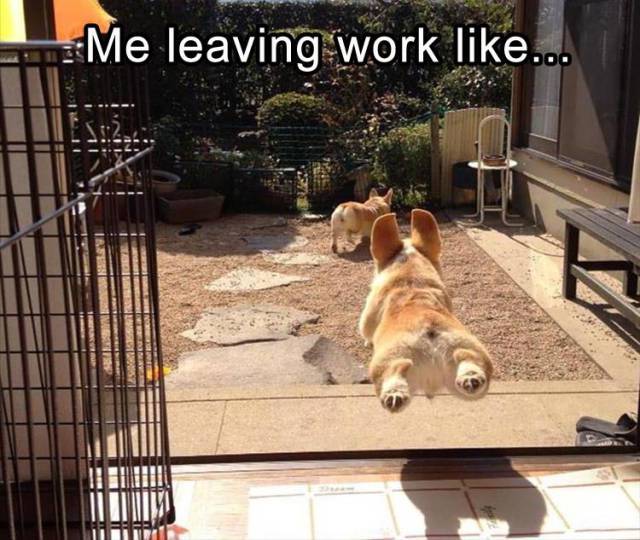 funny picdump 54 pics 12.html - 54 HD Photos | Premium Gallery 2018