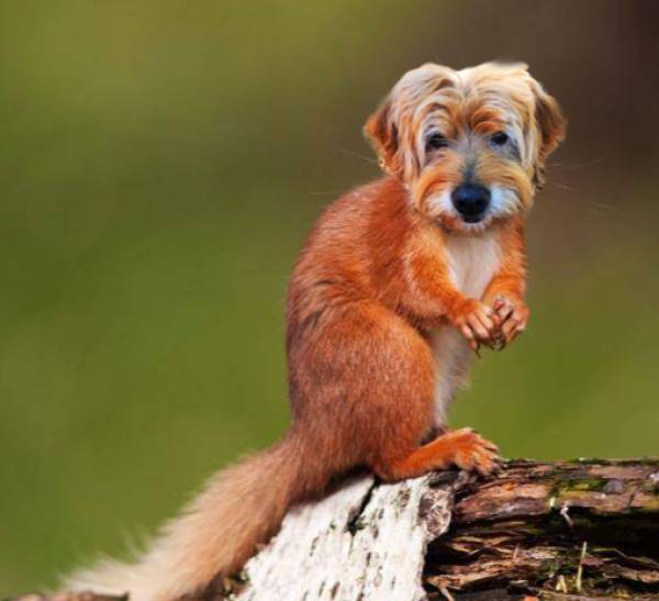 funny picdump 54 pics 12.html - 54 HD Photos | Premium Gallery 2018