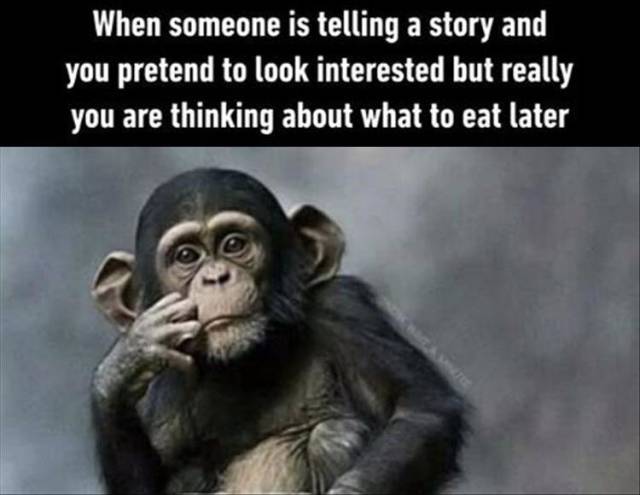 funny picdump 54 pics 12.html - 54 HD Photos | Premium Gallery 2018