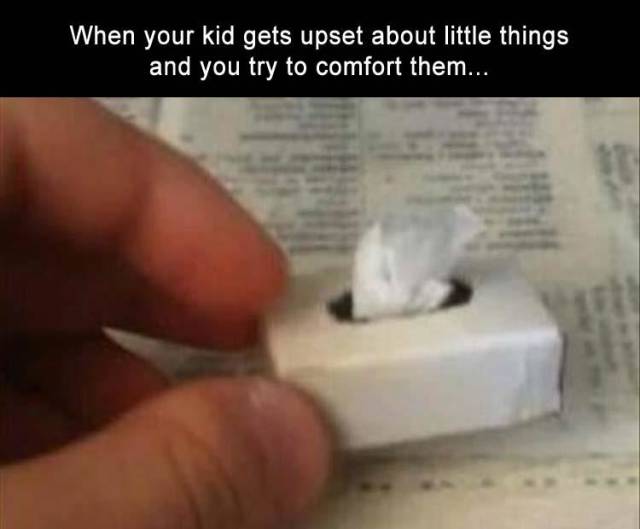 funny picdump 54 pics 12.html - 54 HD Photos | Premium Gallery 2018