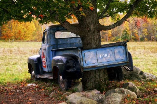 daily picdump 100 pics 46.html - 100 HD Photos | Premium Gallery 2018