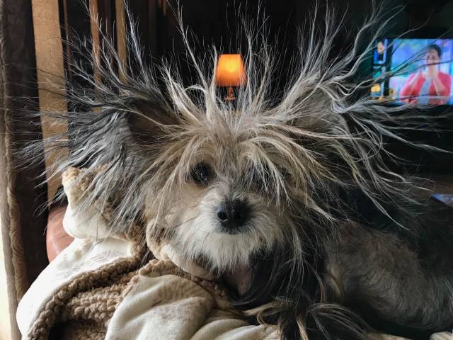 daily picdump 100 pics 46.html - 100 HD Photos | Premium Gallery 2018