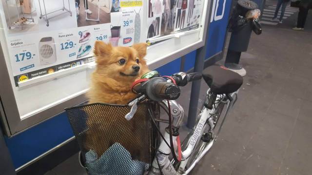 daily picdump 100 pics 46.html - 100 HD Photos | Premium Gallery 2018