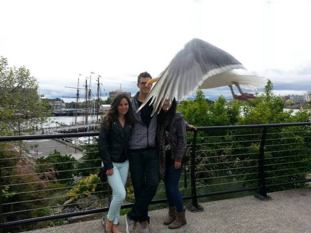 daily picdump 100 pics 46.html - 100 HD Photos | Premium Gallery 2018