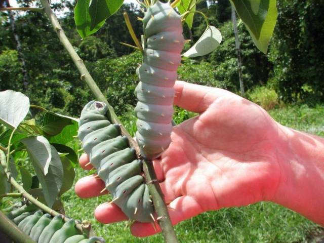 daily picdump 100 pics 46.html - 100 HD Photos | Premium Gallery 2018