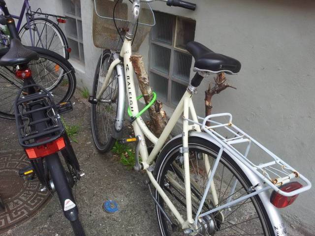 daily picdump 100 pics 46.html - 100 HD Photos | Premium Gallery 2018