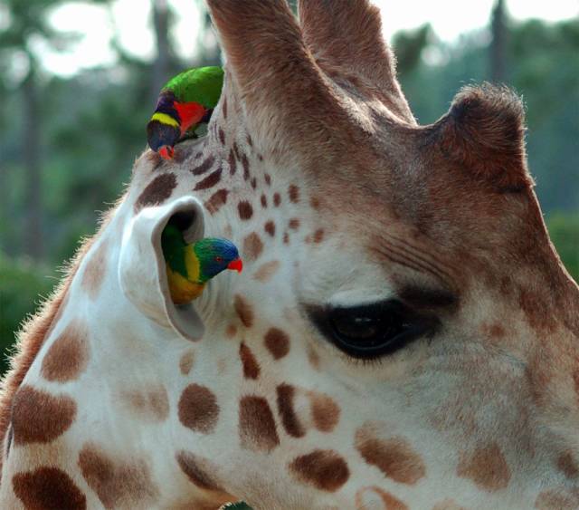 daily picdump 100 pics 46.html - 100 HD Photos | Premium Gallery 2018