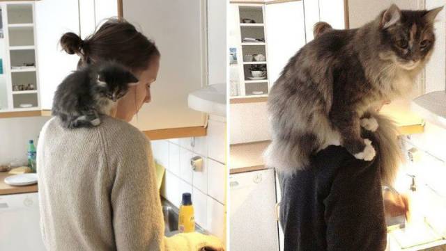 daily picdump 100 pics 46.html - 100 HD Photos | Premium Gallery 2018