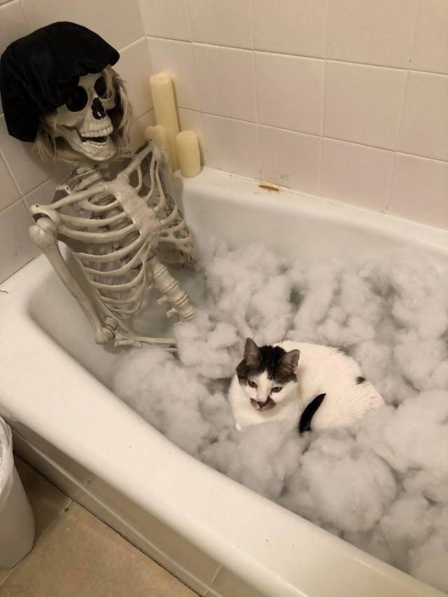 daily picdump 100 pics 46.html - 100 HD Photos | Premium Gallery 2018