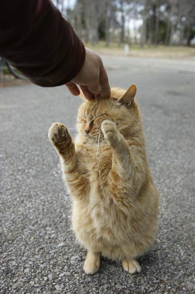 daily picdump 100 pics 46.html - 100 HD Photos | Premium Gallery 2018