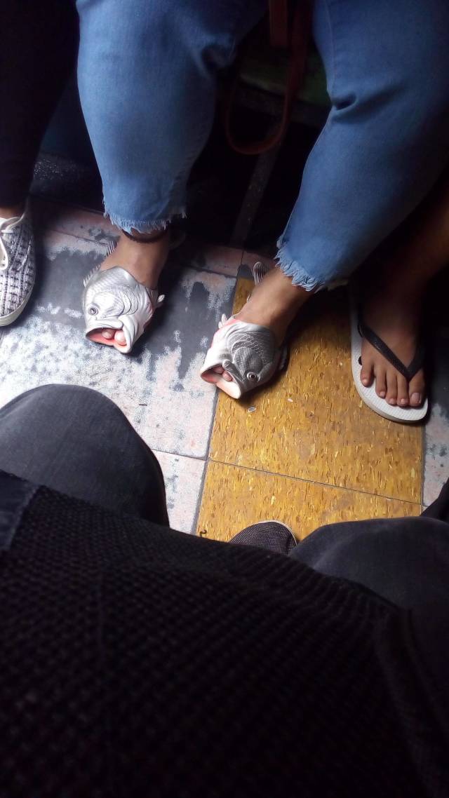 morning picdump 50 pics 48.html - 50 HD Photos | Premium Gallery 2018