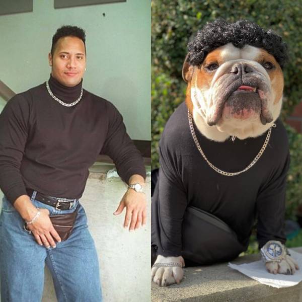 daily picdump weekend edition 53 pics 20.html - 53 HD Photos | Premium Gallery 2018