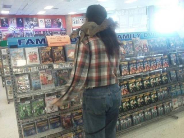 daily picdump weekend edition 53 pics 20.html - 53 HD Photos | Premium Gallery 2018