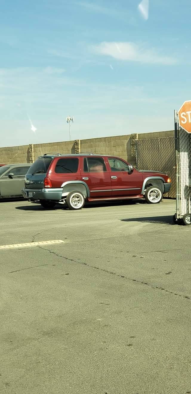 daily picdump weekend edition 53 pics 20.html - 53 HD Photos | Premium Gallery 2018