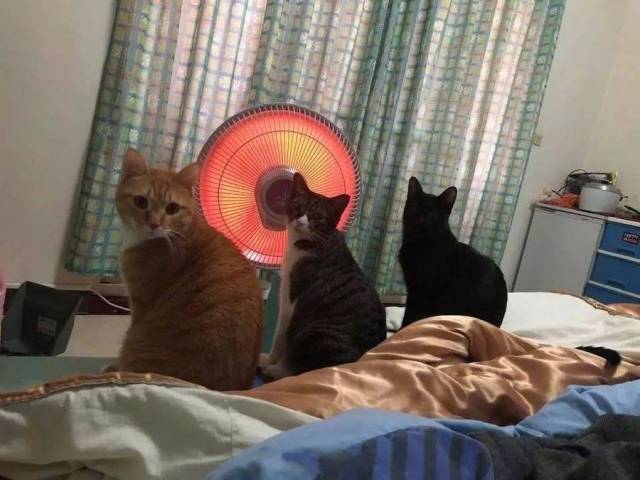 daily picdump 96 pics 34.html - 96 HD Photos | Premium Gallery 2018