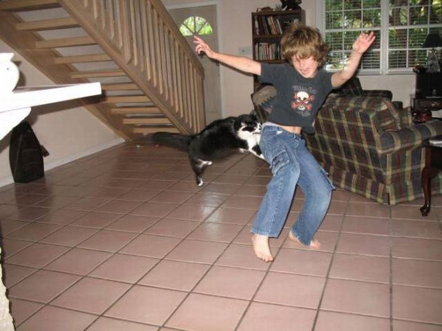 daily picdump 96 pics 34.html - 96 HD Photos | Premium Gallery 2018